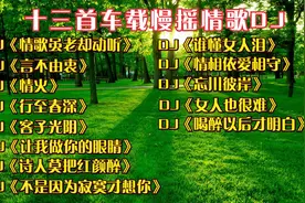 十三首车载DJ歌曲《情歌虽老却动听》《言不由衷》《情火》视频封面