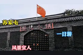 沈阳苏家屯还有一个梨花小镇？环境怎么样？消费高吗视频封面