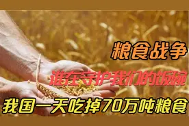 我国一天吃掉70万吨粮食，那么是谁在守护我们的饭碗？视频封面