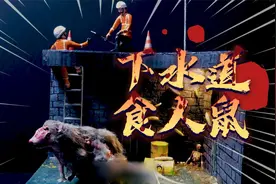 模型：下水道里隐藏巨型食人鼠，它的食物是谁你知道吗？视频封面