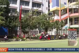 广州幼教新规 每个镇、街道至少设置一所公办幼儿园视频封面