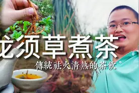 寻觅农村传统茶饮，龙须草煮茶生地黄做辅料，汤色棕红味甘甜视频封面