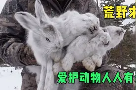 在北极生存100天，就能拿600万奖金，猛女一夜捕4只雪兔！纪录片视频封面