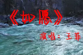 王菲《如愿》爱你所爱的人间  愿你所愿的笑颜视频封面