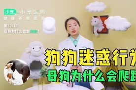 狗狗的迷惑行为之母狗为什么也会爬跨_小宠医师视频封面