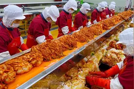 没人要的大白菜，菜农大妈毅然开厂加工，20元1斤，日卖3000斤！视频封面