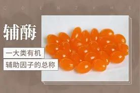 一大类有机辅助因子的总称——辅酶视频封面