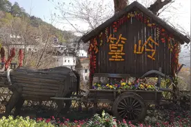婺源的篁岭，坐索道上来的，千年古树随处可见视频封面