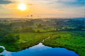西风烈，长空雁叫霜晨月。——毛泽东视频封面