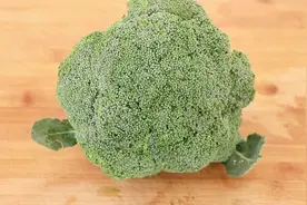 教你凉拌西兰花的家常做法，步骤详细，清脆爽口好看又好吃，解馋视频封面