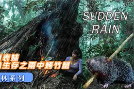 越南表妹丛林生存：雨中抓竹鼠生烤来吃，太馋人了！视频封面