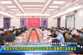 曹普华主持召开岳阳自贸片区工作领导小组第四次全体会议视频封面