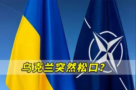乌克兰突然松口？乌方代表团成员宣称：不再致力于申请加入北约视频封面
