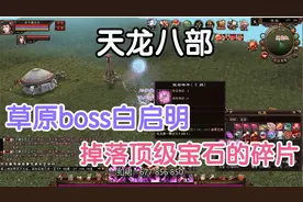 天龙八部端游怀旧服经典服：草原boss白启明掉落顶级宝石的碎片！视频封面