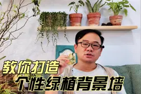 光秃秃的大白墙，秒变绿植物背景墙，立体个性视频封面