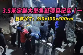 南京3.5米定制大型鱼缸项目记实，国内第一个2米超高超白底滤缸视频封面