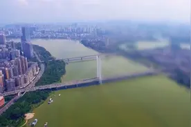 省人大：《广东省粤菜发展促进条例》计划于9月正式颁布实施视频封面