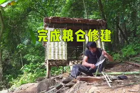 东南亚丛林荒野求生，完成粮仓的修建，为储存粮食做好准备！视频封面
