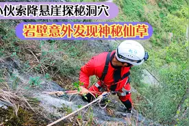 小伙索降悬崖绝壁，探秘乌家洞，岩壁发现仙草，洞道贯通整座大山视频封面
