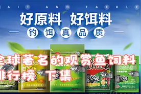 全球著名的观赏鱼饲料排行榜。十大鱼饲料品牌。#水族 #养鱼视频封面