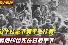 放牛娃救下美国飞行员后，却惨死在日军手中，这段历史不该被遗忘视频封面