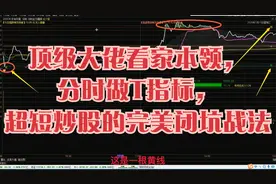 顶级大佬看家本领，分时做T指标，超短炒股的完美闭坑战法