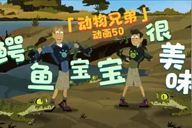 【动物兄弟】动画50：究竟是谁要吃掉鳄鱼宝宝？视频封面