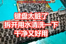 键盘太脏了，小伙直接放水里洗过后，真干净视频封面