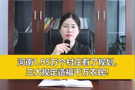 河南1.95万个村庄有了规划，三大规定造福千万农民！视频封面
