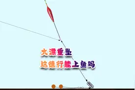 在急流水中使用大漂重铅，到底是否正确？听程老师为你详细讲解。视频封面