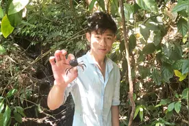 鸡场的山泉水突然没水来了，小钟上山找水源看看到底怎么回事？视频封面