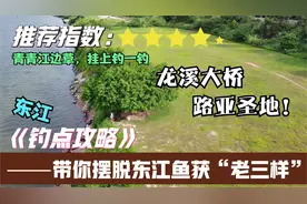 东江路亚绝佳钓点，龙溪大桥东莞桥头一侧至虾公山段钓点攻略视频封面