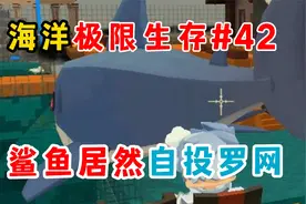 迷你世界海洋极限：鲨鱼自投罗网怎么搞！