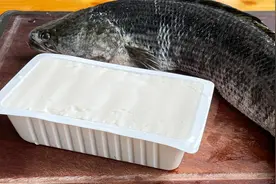 1条黑鱼1块豆腐，最简单的家常做法，鲜香入味，上桌连汤汁都不剩视频封面