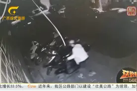 兔子也吃窝边草！男子专偷同村不上锁电动车视频封面