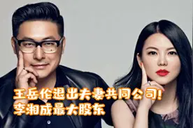 王岳伦退出夫妻共同公司！李湘成最大股东，一年前夫妻店解体视频封面