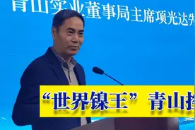 起底“世界镍王”，神秘的青山控股视频封面