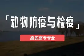 动物防疫与检疫专业介绍视频封面