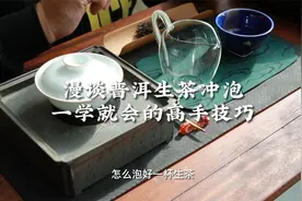 普洱生茶冲泡一学就会的高手技巧视频封面
