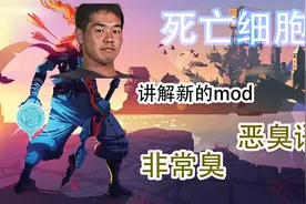 死亡细胞 新模组介绍 是伤害语音更改mod 恶臭语音 非常臭 下部