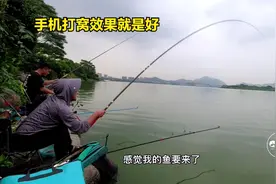 野钓厚街横岗水库，手机打窝效果就是好，最终喜获禾花鲤十几条！视频封面