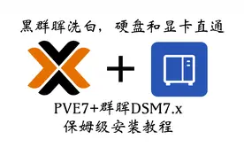 保姆级PVE安装黑群晖，硬盘，显卡直通教程视频封面