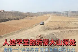 人迹罕至的沂蒙大山深处，隐藏一个神秘狼窝，那里曾经群狼出没视频封面