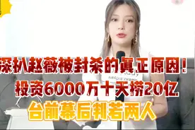 赵薇被封杀的真正原因！投资6000万十天捞20亿, 台前一套台后一套视频封面