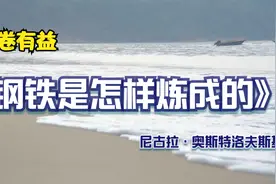 开卷有益：名著品读——《钢铁是怎样炼成的》： 第十二回