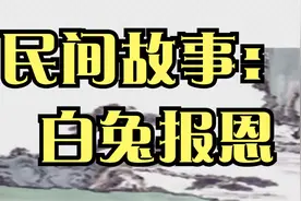 民间故事： 白兔报恩视频封面