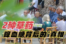 西医没来之前，这个村子草医如何治病，2种草药有啥奇效？视频封面