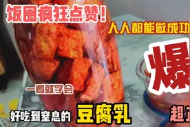 为啥你做的豆腐乳长黄毛和黑毛，人家做的长白毛，看完你就明白了视频封面