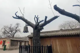 抗日战争重要的遗迹，电影《地道战》的发生地，冉庄地道战遗址视频封面