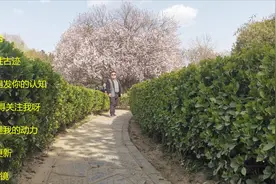 西安青龙寺，在日本人心目中位置这么重要，原来是这样 。视频封面